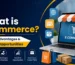 What is Ecommerce